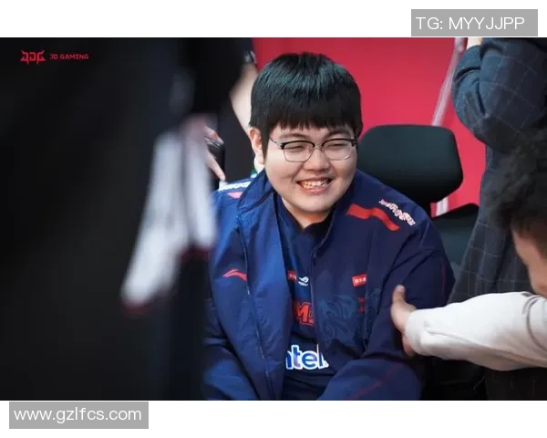 JDG战队选手个人能力深度分析与对比探讨