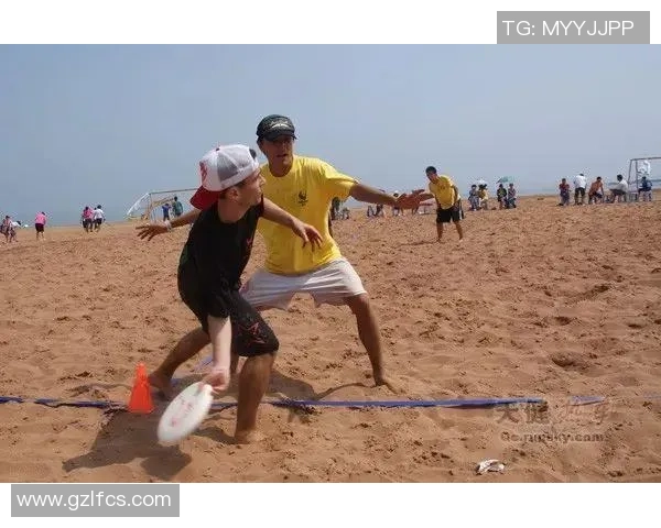 北京飞盘队节奏表现分析：数据揭示团队配合与战术执行的奥秘