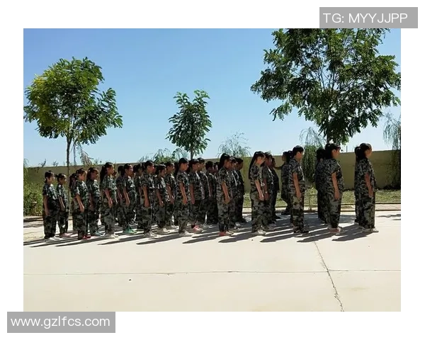 与杨磊深入对话探讨CSGO职业生涯的成长与挑战